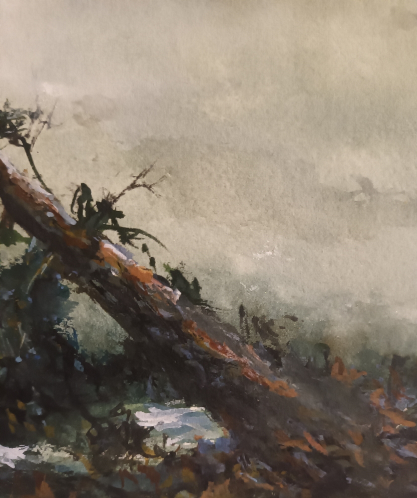 Where the Wind Laid Down