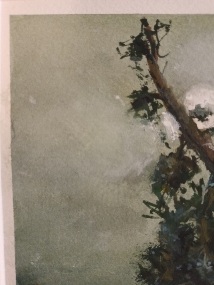 Where the Wind Laid Down