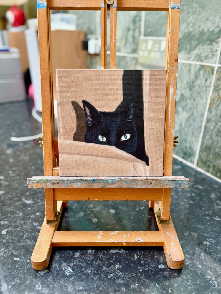 Cat In A Cardboard Box