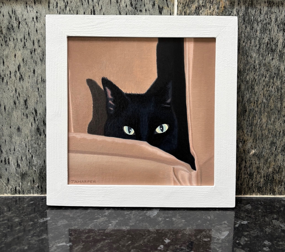 Cat In A Cardboard Box