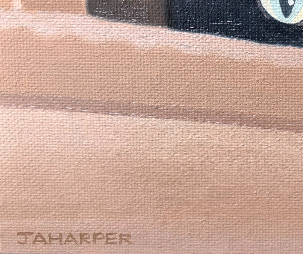 Cat In A Cardboard Box