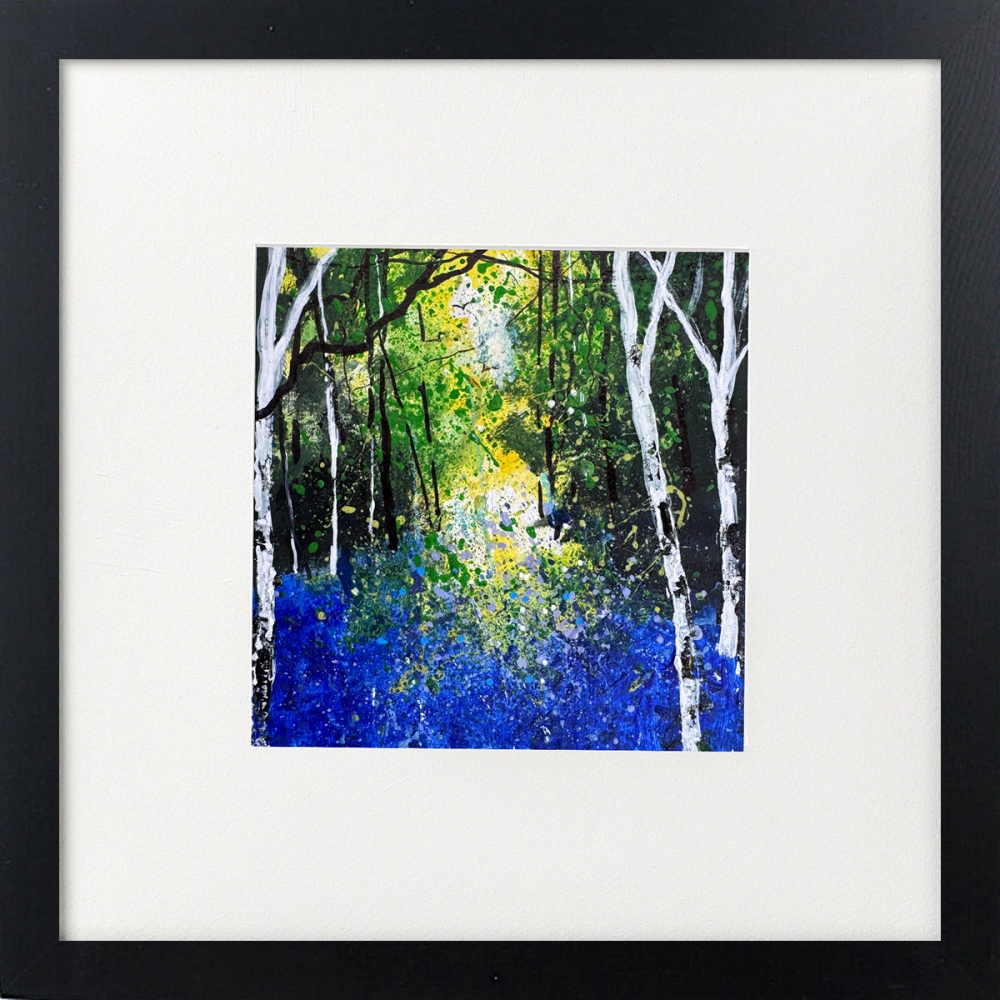 Arrival of Bluebells, Silver Birch Trees framed
