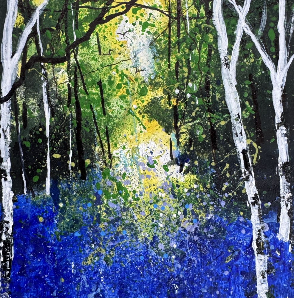 Arrival of Bluebells, Silver Birch Trees framed