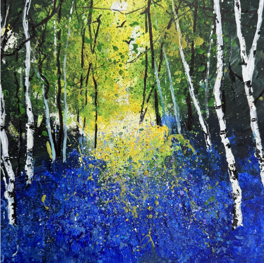 Bluebell Woods & birches