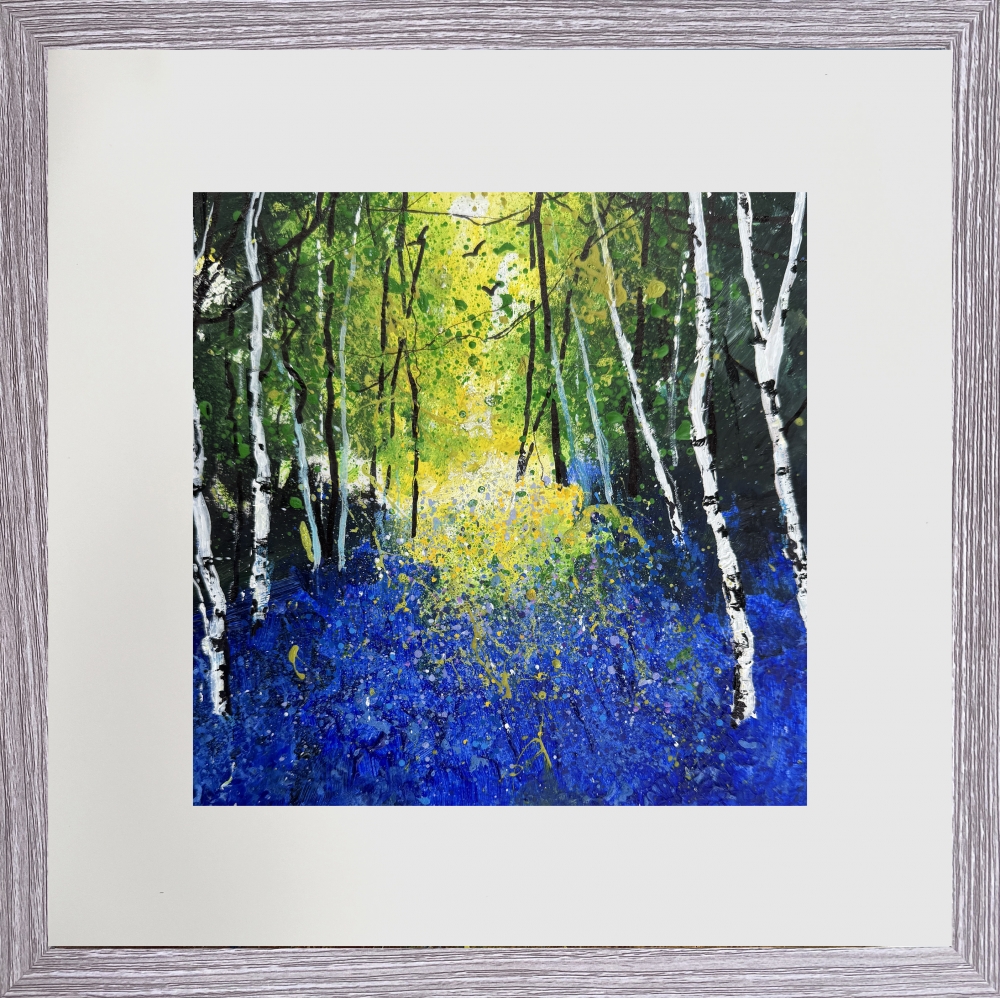 Bluebell Woods & birches