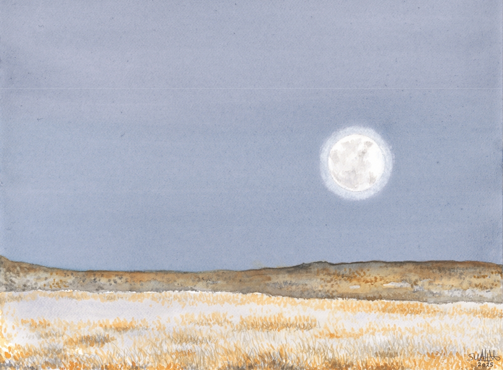 Calm...The Unseen At Wicked Wooster County, New Mexico