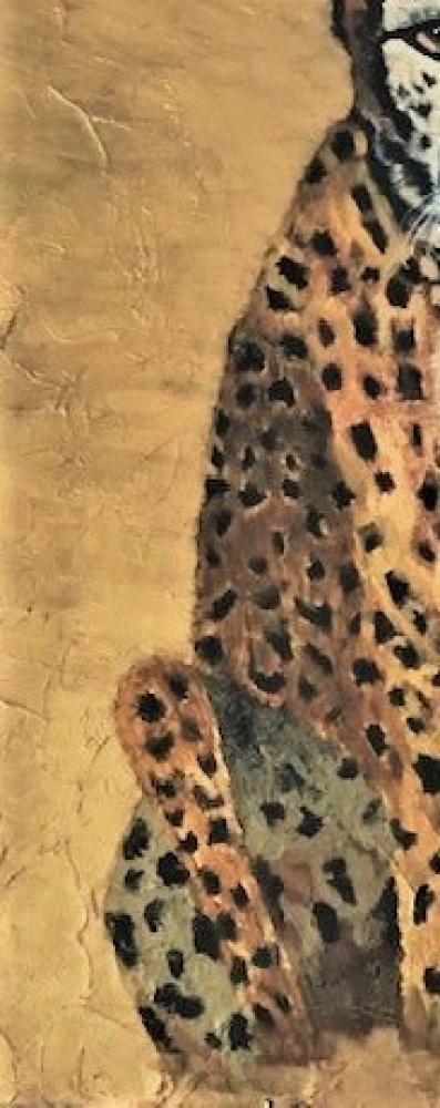 Sad Cheetah