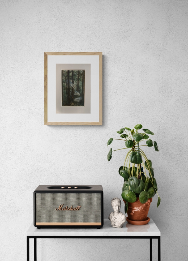 “Forest of the Tidal Breath”  