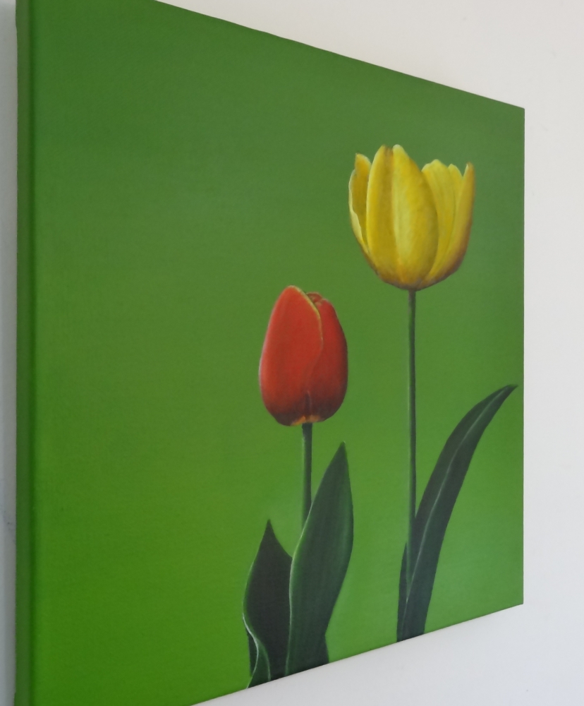 Two Tulips