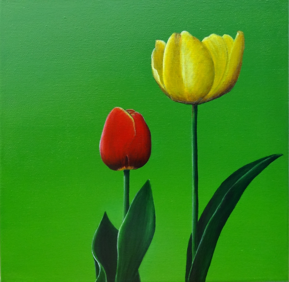 Two Tulips