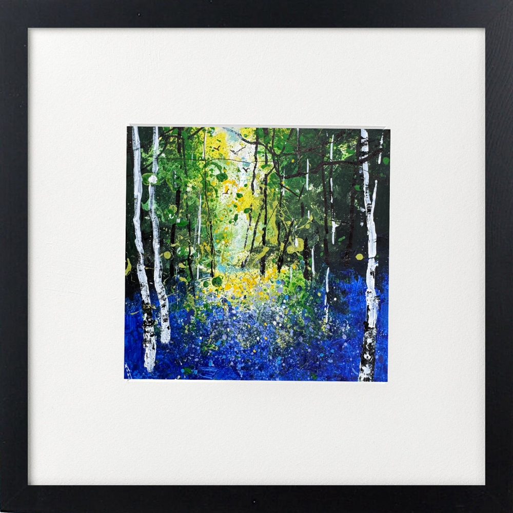 Seasons - First Bluebells & Birches