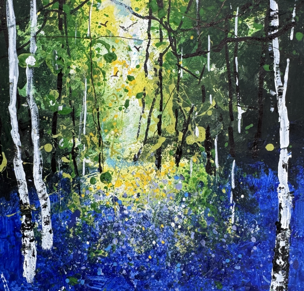Seasons - First Bluebells & Birches