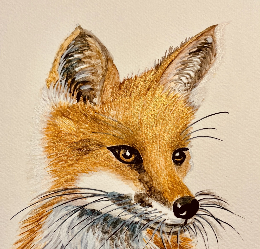 Mr Fox