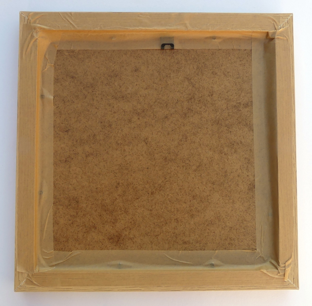 Hellebores - Christmas Rose