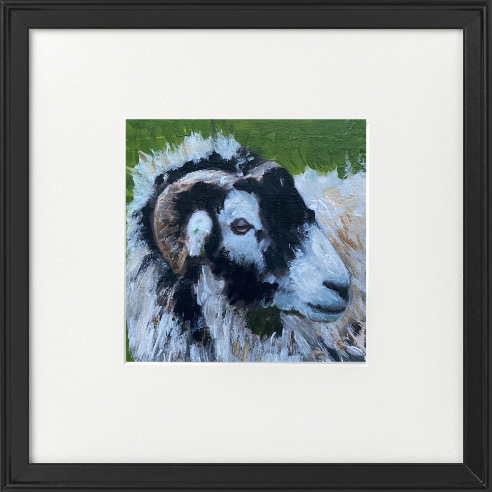 Three sheep framed