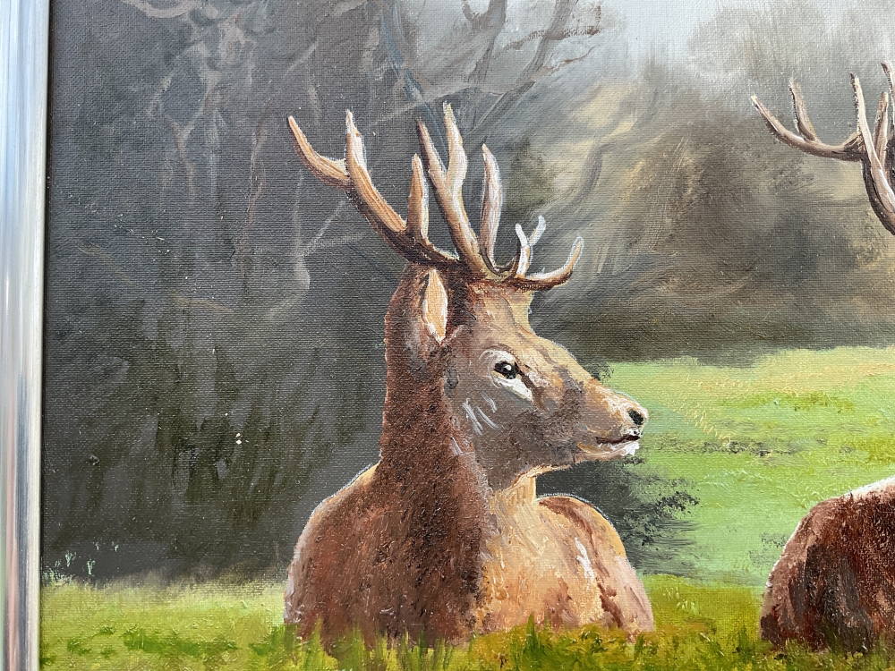 Red Deer Pair