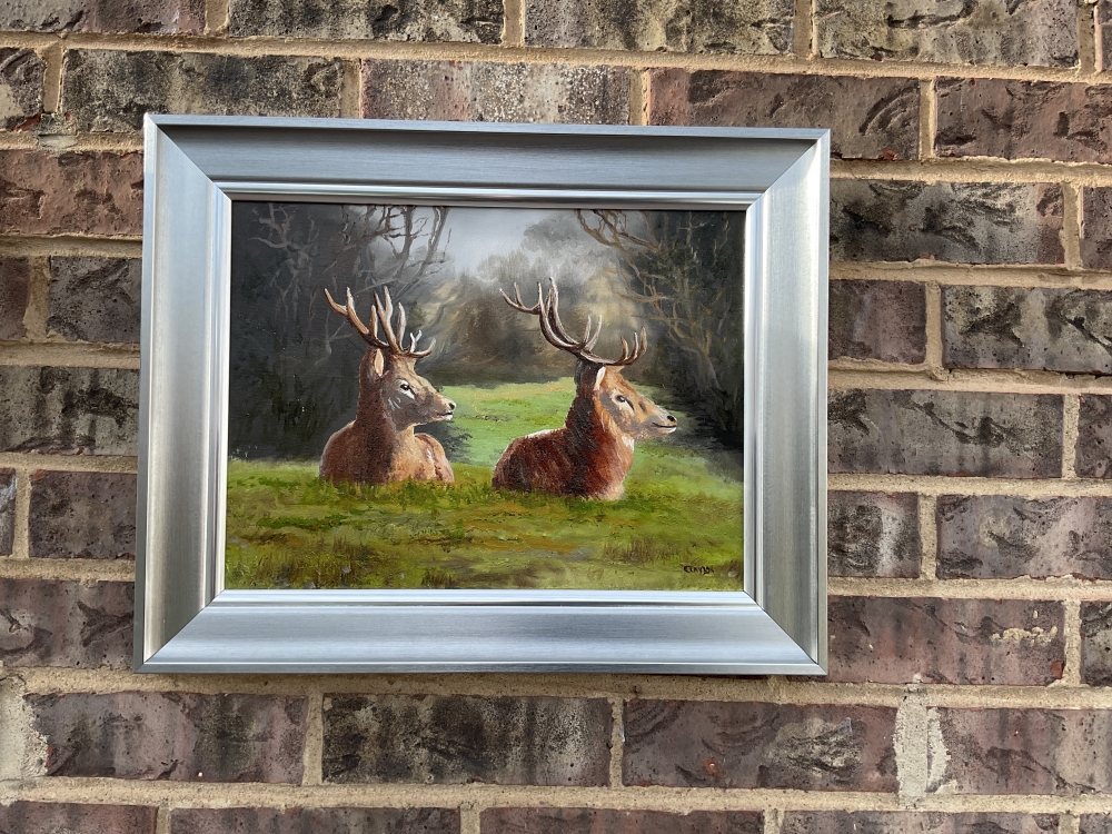 Red Deer Pair