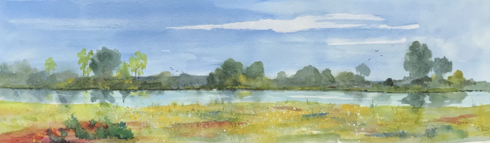 Meadow in  the Norfolk Fens