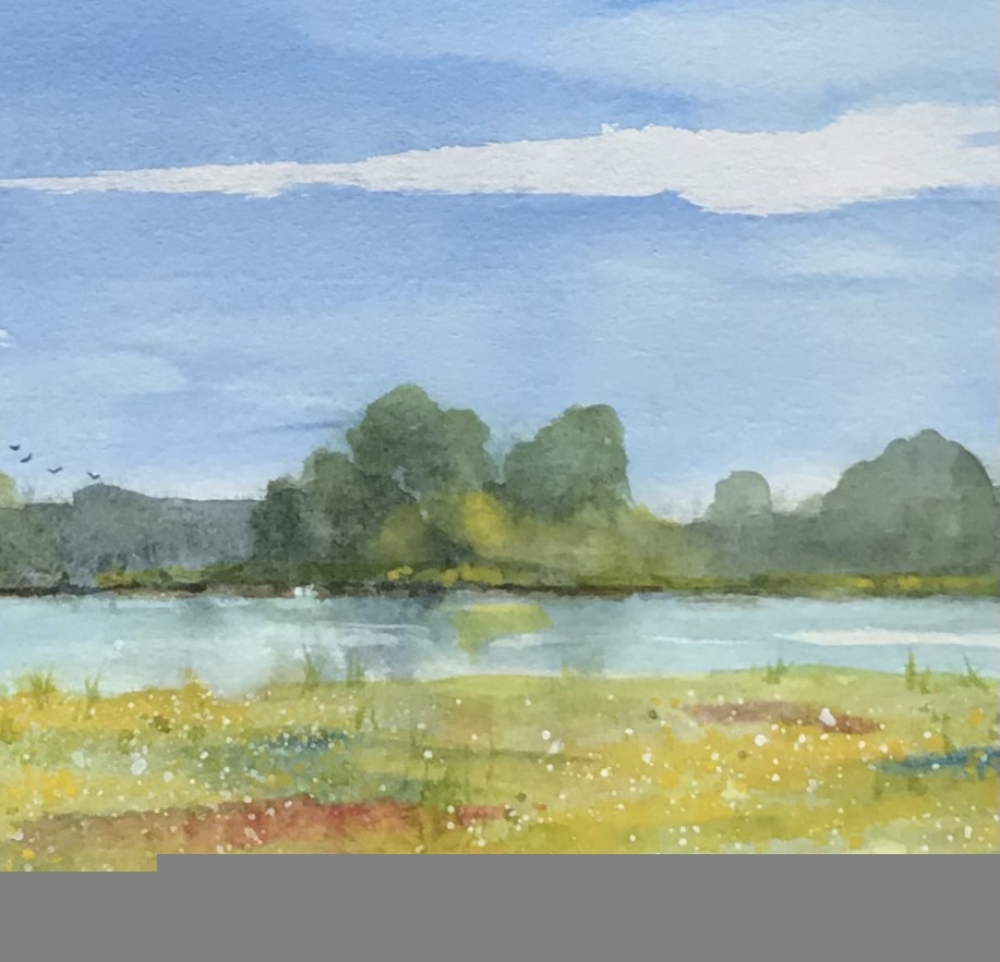 Meadow in  the Norfolk Fens