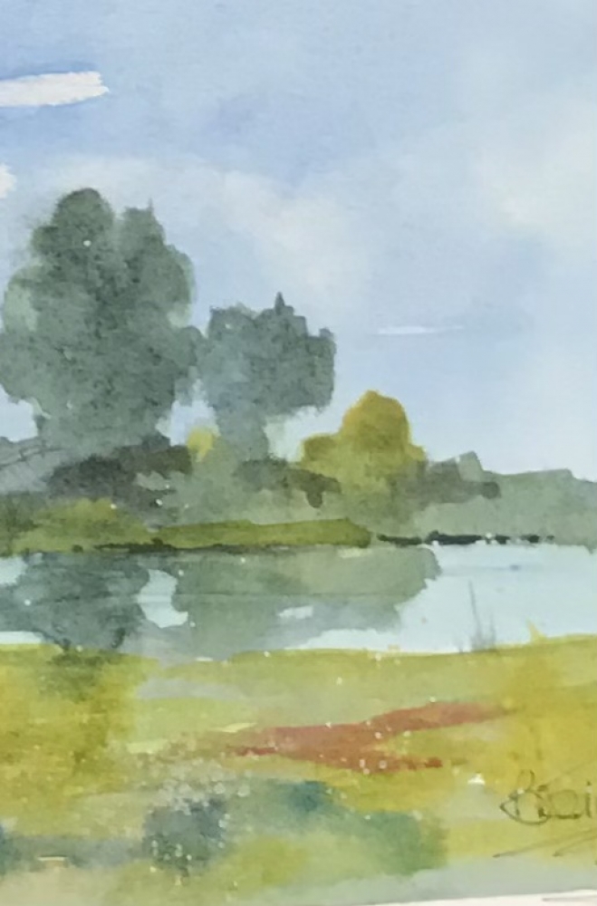 Meadow in  the Norfolk Fens