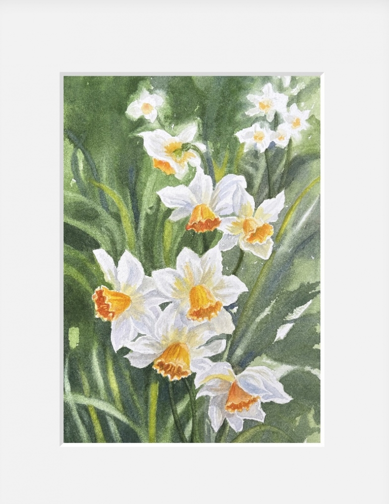 DAFFODILS 