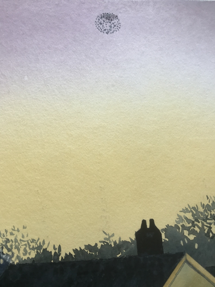 Black Roof Country 2