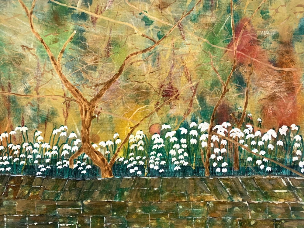 Snow Drops in a wall