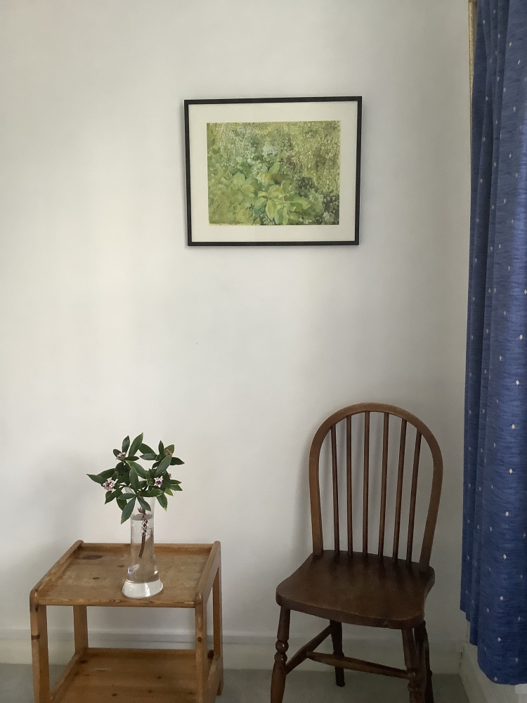 Ann’s Garden - Dublin