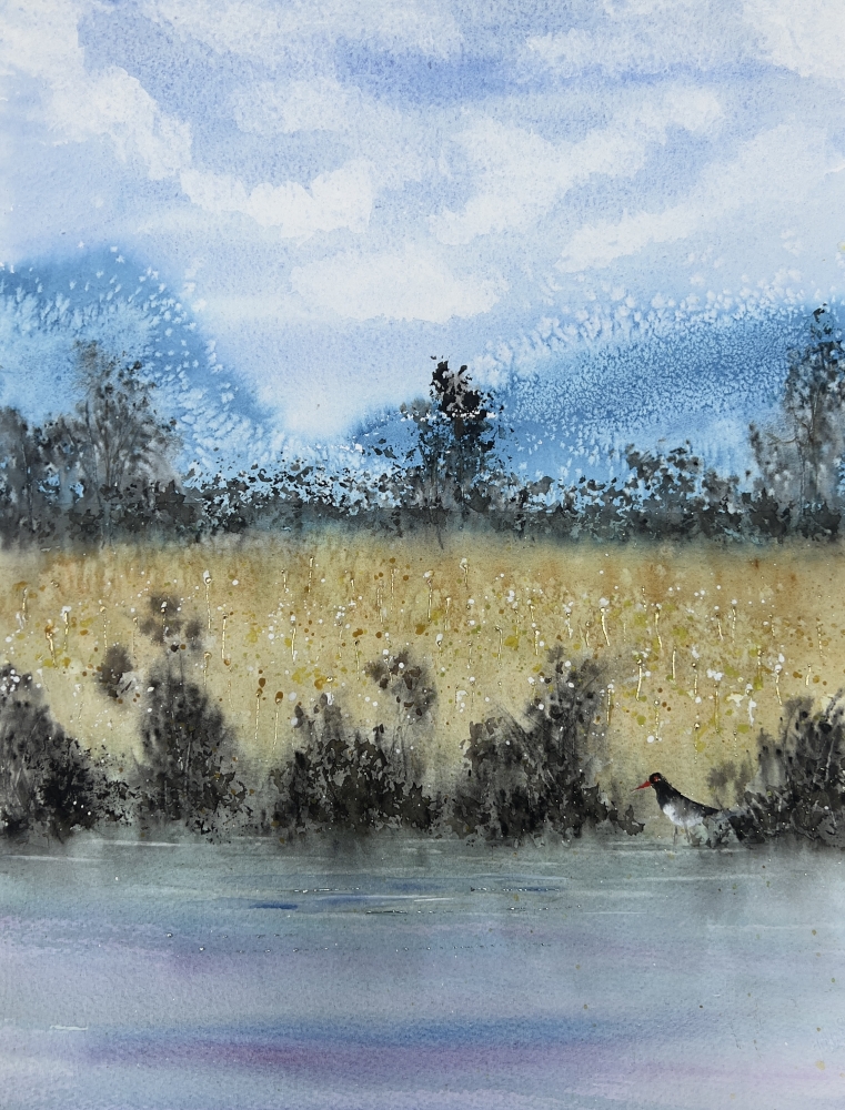 Bright Blue Mountains