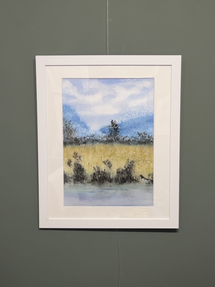 Bright Blue Mountains