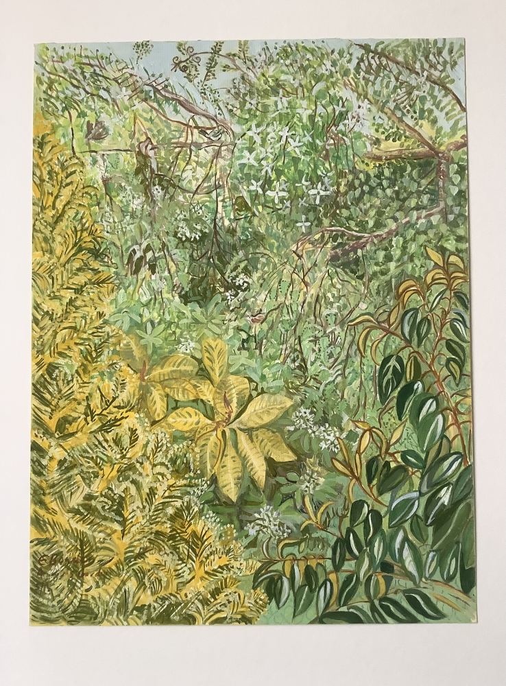 Ann’s Garden - Dublin 2/4