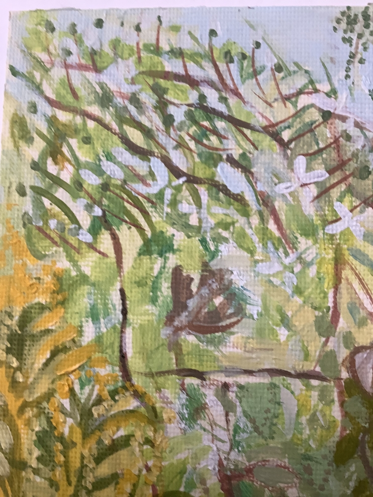 Ann’s Garden - Dublin 2/4