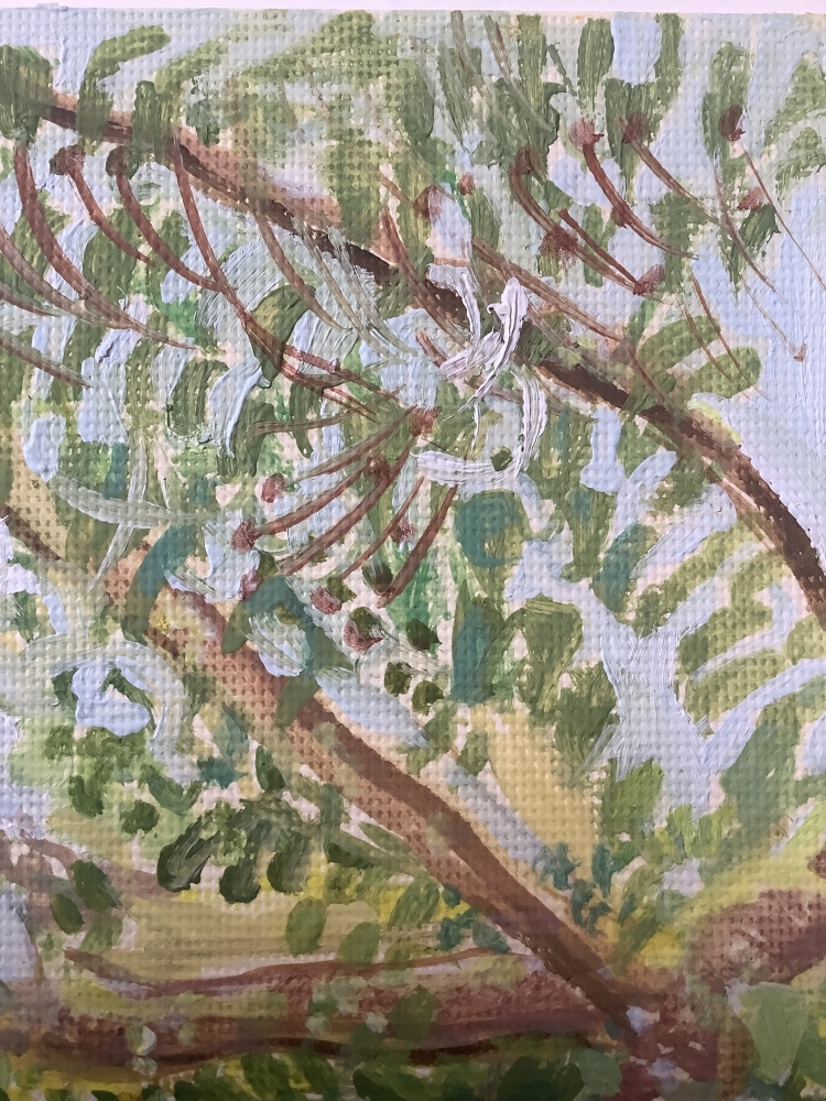 Ann’s Garden - Dublin 2/4