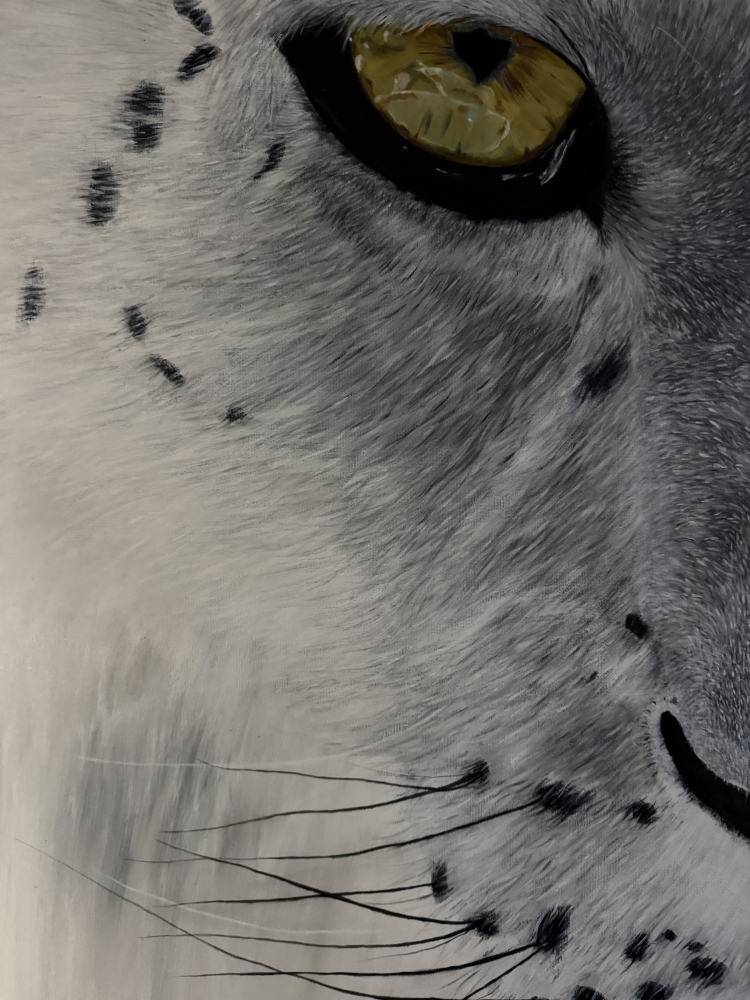 \"Ghost of the Mountains\" original snow leopard painting