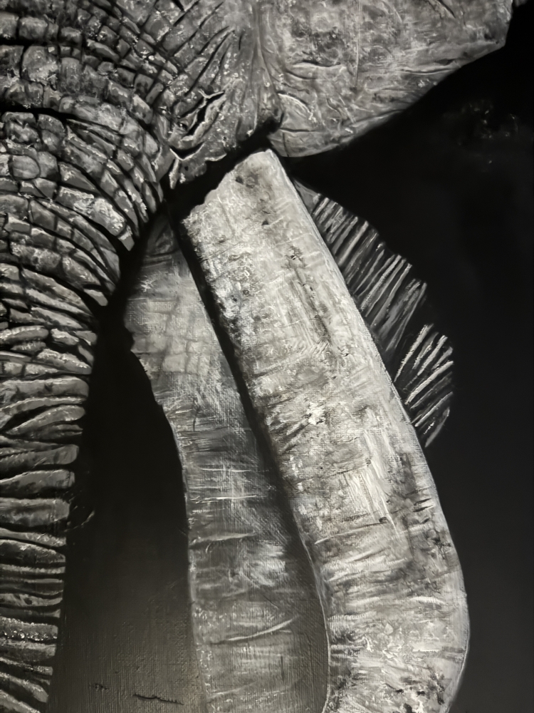 \"Ancient Wisdom\" Original Black & White Elephant Portrait