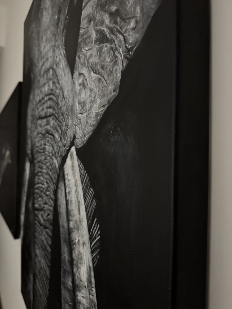 \"Ancient Wisdom\" Original Black & White Elephant Portrait