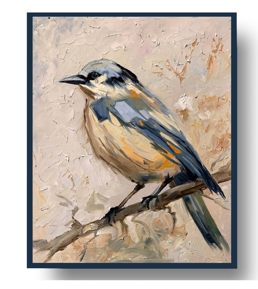 Quiet Observer. The Eurasian Nuthatch.