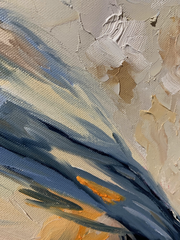 Quiet Observer. The Eurasian Nuthatch.