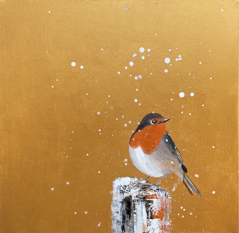 Red Robin In The Snow