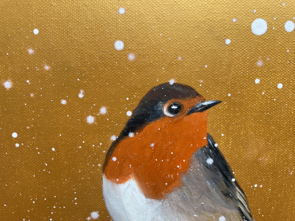 Red Robin In The Snow