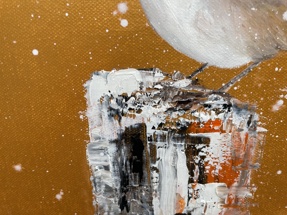 Red Robin In The Snow