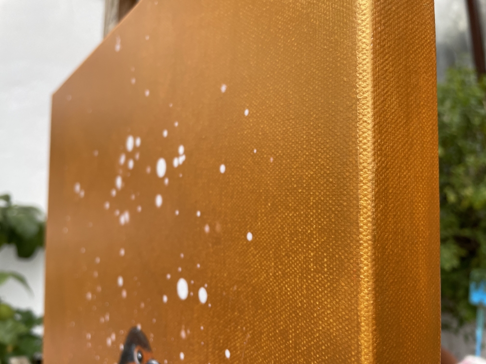 Red Robin In The Snow