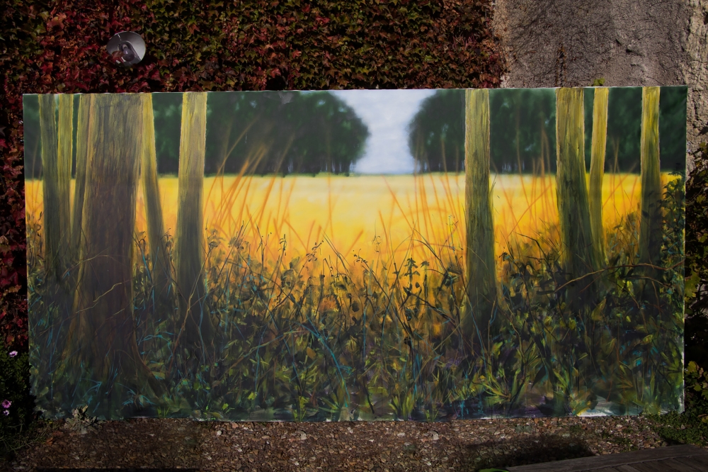 Golden Wheat Field in the Glade