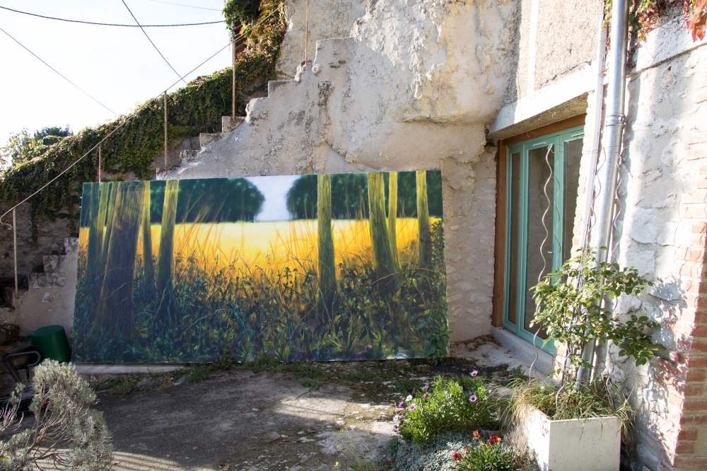 Golden Wheat Field in the Glade