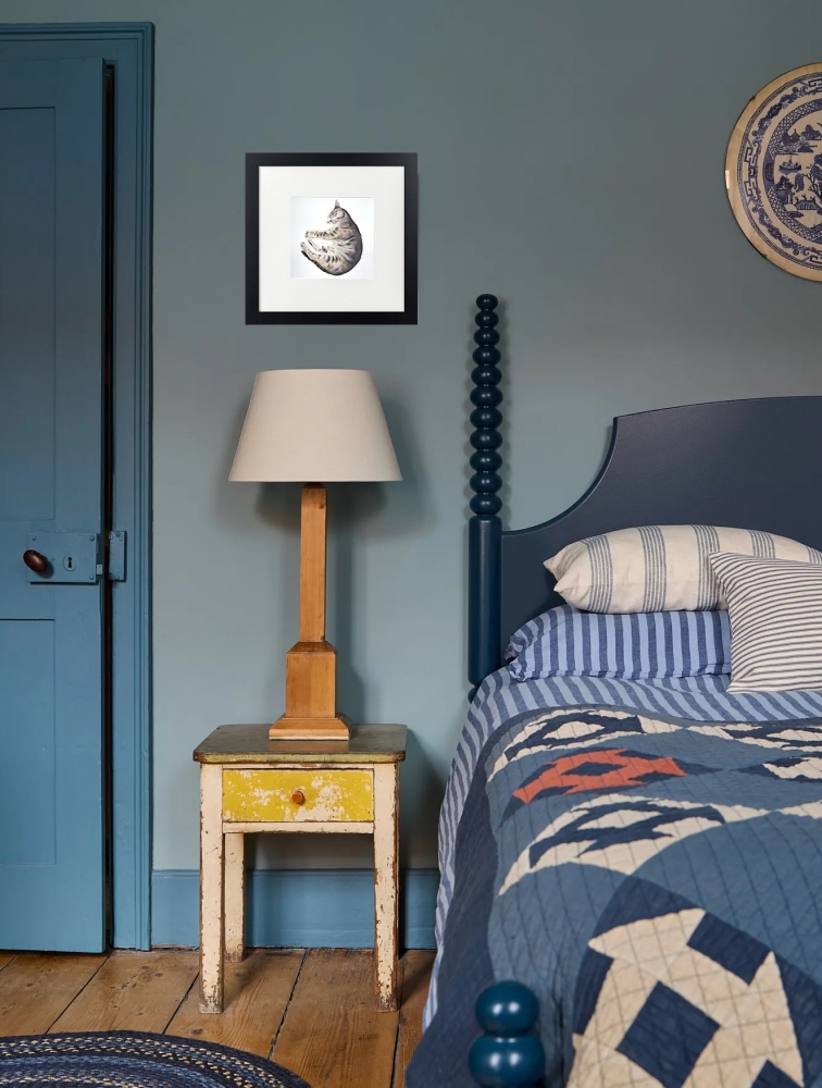 Tabby Cat Curled Up Asleep Framed