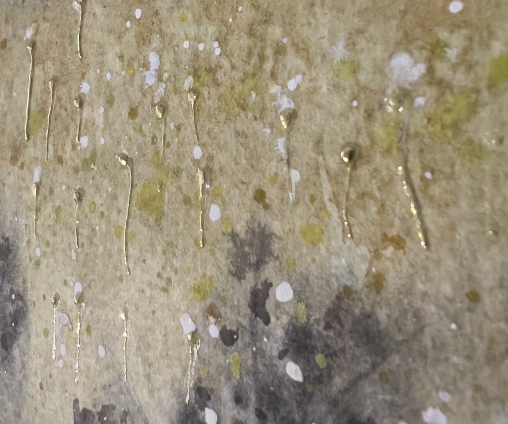 Bright Blue Mountains