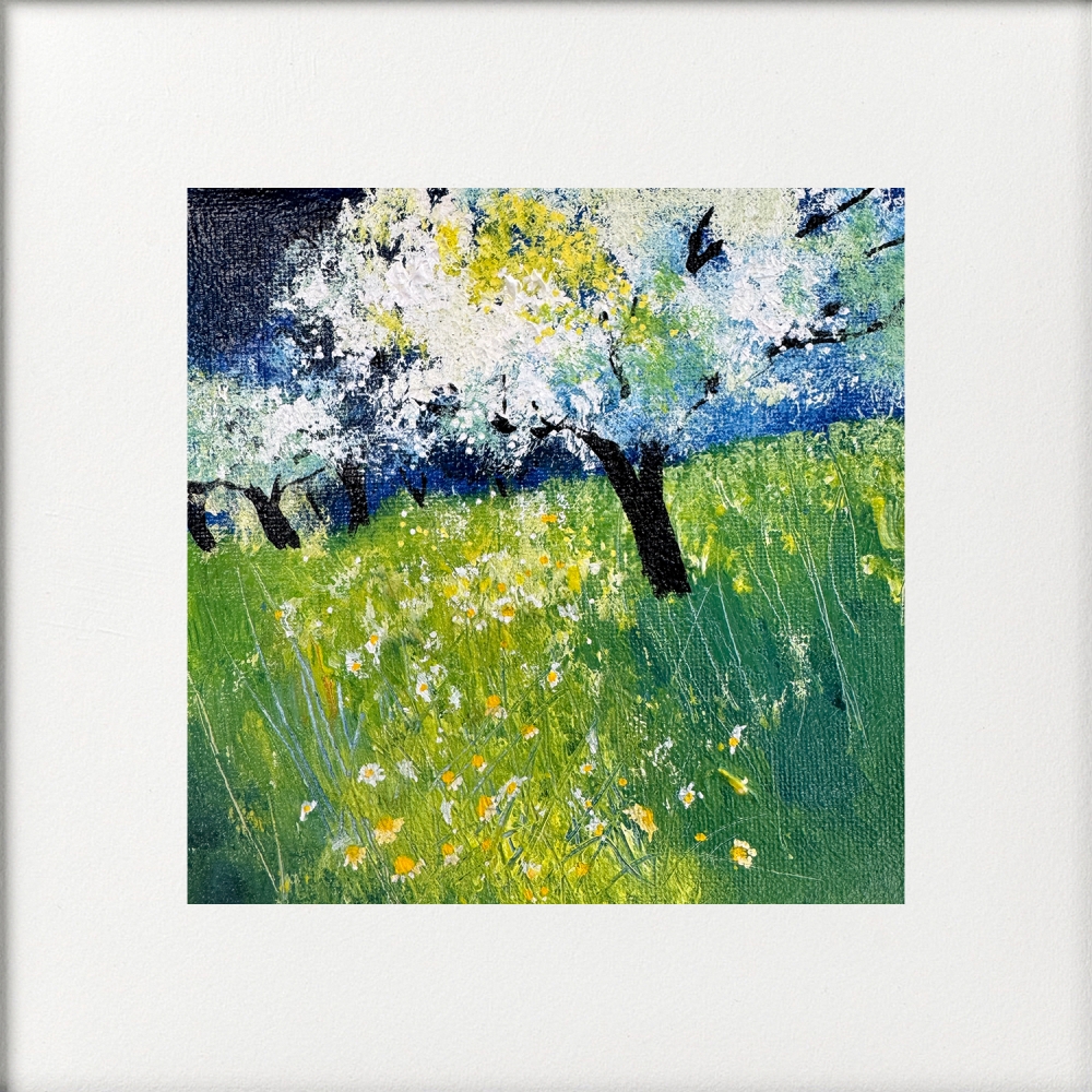 Cherry Blossom in the Orchard