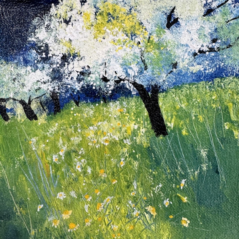 Cherry Blossom in the Orchard