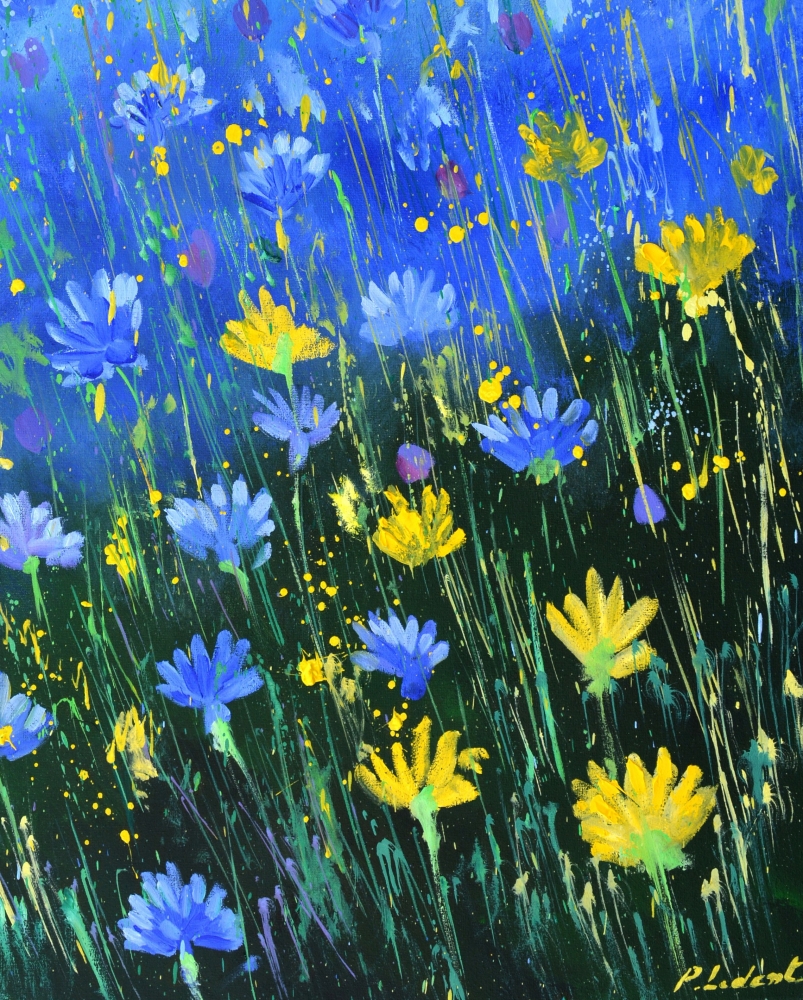 Blue cornflowers 79