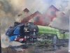 Mallard meets Scotsman